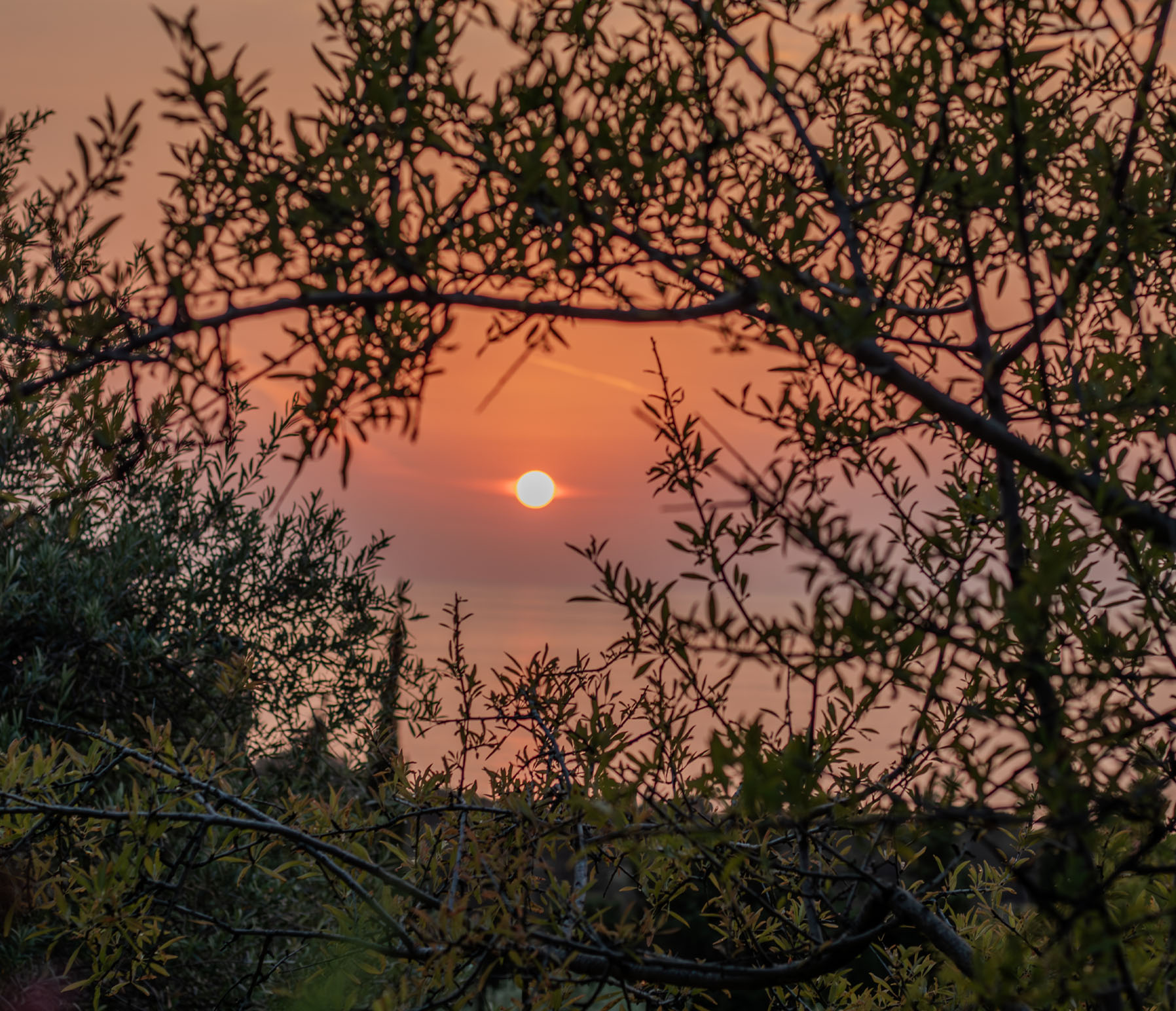 Villa Antiva servizi - percorsi naturalistici